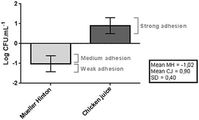 Intrinsic and Extrinsic Aspects on Campylobacter jejuni Biofilms